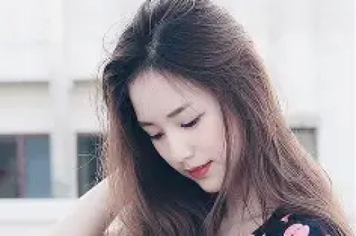 偷逃税款